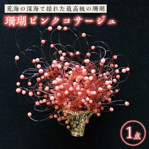 yӂ邳Ɣ[Łzyō̎XfUCIzX sNRT[W ܓs/o [PBK002] TS ANZT[  v[g 蕨
