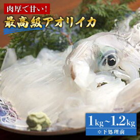 【ふるさと納税】五島産 アオリイカ 1～1.2kg 五島市/マルセイ水産[PBT003]