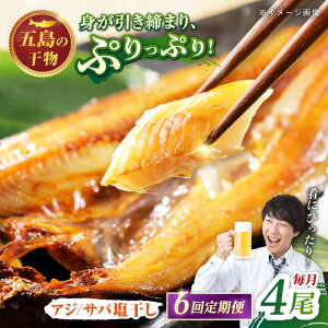 yӂ邳Ɣ[Łzy6ցzySz銱 iAW/Tojv4 ܓs/H[PCH011]