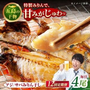 yӂ邳Ɣ[Łzy12ցzySz銱 ݂񊱂iAW/Tojv4 ܓs/H[PCH016]