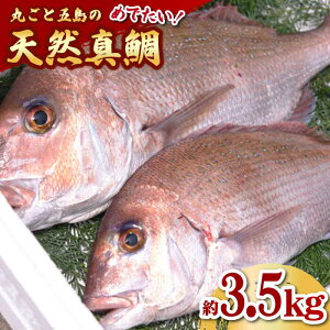 天然 鯛 刺身 魚の人気商品 通販 価格比較 価格 Com