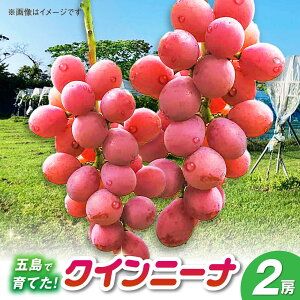 yӂ邳Ɣ[ŁzNC[j[i 2[ ܓs/HPIt@[[PCP018]