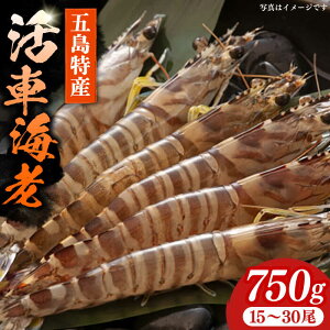 yӂ邳Ɣ[Łzys\zVN ܓY ԊCV ({B) 750g (15~30) Y ܓs/ ܓƏ [PCU001]