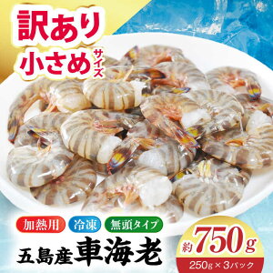 yӂ邳Ɣ[Łzy󂠂zⓀԊCViMpj750g (250gx3P) ܓs^ ܓƏ[PCU009]