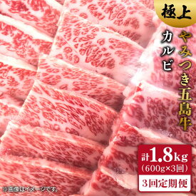 【ふるさと納税】【全3回定期便】五島牛 カルビ600g【肉のマルヒサ】 [PCV016]