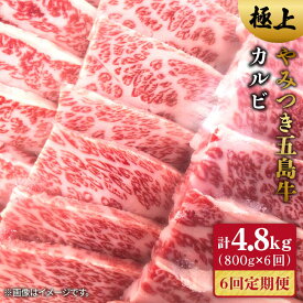 【ふるさと納税】【全6回定期便】五島牛 カルビ800g【肉のマルヒサ】 [PCV024]