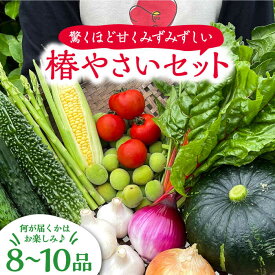 【ふるさと納税】何が届くかはお楽しみ 椿やさいの野菜セット(8-10品)詰合せ 五島市/いきいきファーム [PCY001]