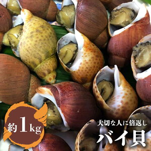 yӂ邳Ɣ[ŁzlꂽāIܓx]I oCL 1kgyoLsz[PDK002]  ΂L