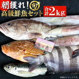 【ふるさと納税】【五島列島・直送】朝獲れ！高級鮮魚セット2kg 五島市 / 鯛福丸水産 [PDP002]