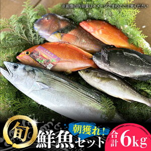 yӂ邳Ɣ[Łzyܓ񓇒zlNZbg6kg ܓs/╟ېY[PDP012]  N Zbg CN   l ①