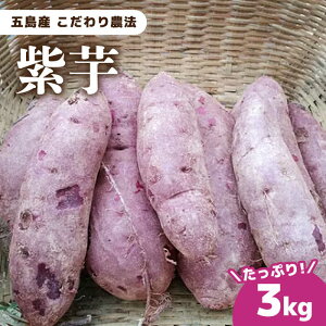 yӂ邳Ɣ[Łzܓ񓇒 R͔| ̎ ܓs/ՂƔ_ [PDS006]