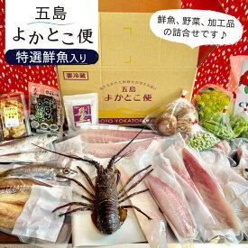 【ふるさと納税】五島よかとこ便 特選鮮魚入り 野菜 加工品 おまかせ お楽しみ セット 五島市 / GOTO Challenged 椿 [PDU002]