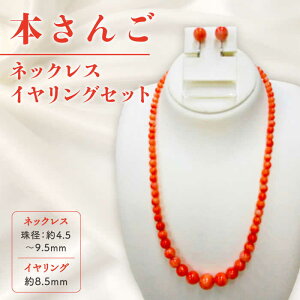 yӂ邳Ɣ[Łz{ lbNXECO ܓs / RO񂲐^ [PDX001]