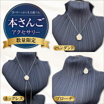 楽天市場】パール ブローチ（ネックレス・ペンダント  