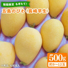 【ふるさと納税】【期間限定】五島のびわ（長崎早生）500g 秀品 化粧箱入 五島市/ごとう農業協同組合 [PEM001]