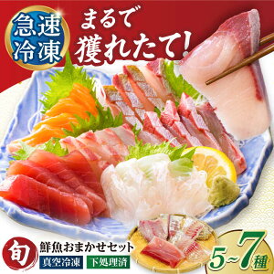 yӂ邳Ɣ[Łzy͂eIׂzς Ⓚ N 5 / 5{ĕp1 / 5{ĕp2 ܓs / N[PEP018]  ① ^pbN VN ς CN hg Zbg 