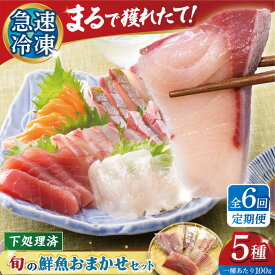 【ふるさと納税】【6回定期便】【下処理済】超速冷凍鮮魚5種 五島市 / 金沢鮮魚[PEP020] 柵 冷蔵 真空パック 新鮮 下処理済み 海鮮 刺身 セット