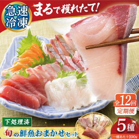 【ふるさと納税】【12回定期便】【下処理済】超速冷凍鮮魚5種 五島市 / 金沢鮮魚[PEP021] 柵 冷蔵 真空パック 新鮮 下処理済み 海鮮 刺身 セット