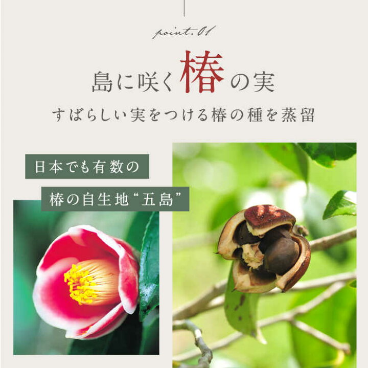 楽天市場】【ふるさと納税】【全3回定期便】 GOTOGIN 椿 酒 ジン 
