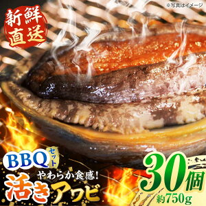 yӂ邳Ɣ[ŁzytwK{zyzGAzܓY{B ArEo[xL[Zbg 30Zbg 750g ܓs/iLjsH BBQ  [PEX007]