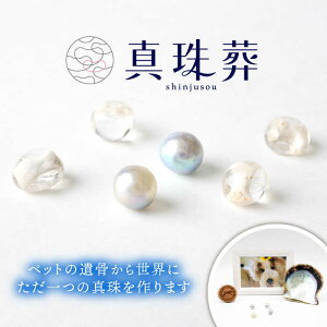 yӂ邳Ɣ[Łz^쑒 / ybg { ⍜ ^ vo ܓs / E[rB[ [PEZ001]