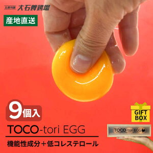yӂ邳Ɣ[Łzyg߂IuhzTOCO-tori EGG MtgBOX  9  ܂ ܓs / ܓ񓇑Η{{ [PFQ001] ʎq ^}S {  ܓ