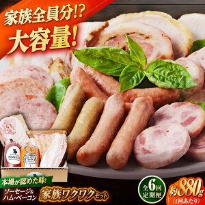 yӂ邳Ɣ[ŁzyS6ցzƑNNZbg ECi[ x[R \[Z[W Mtg Gris Hause NAGASE / ܓs[PGF027] \[Z[W l lߍ킹 Zbg EBi[   ܓ ܓ