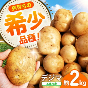 yӂ邳Ɣ[Łzy12s\žCȂႪ!|Q́wfW}x2kg ܓs/킽ɔ_[PGO003]