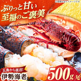 【ふるさと納税】伊勢海老(活き) 500g　五島市/真栄丸[PGR002]