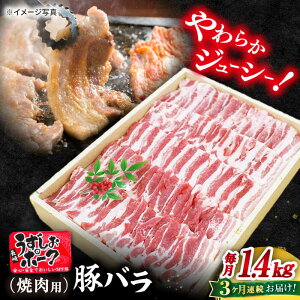 yӂ邳Ɣ[Łzy 󂠂 zy3  z肤 |[N o i ē pj1.4kg X[p[EGXg [CAG113]  C  u^ ؓ o ֗  炩 W[V[ i u