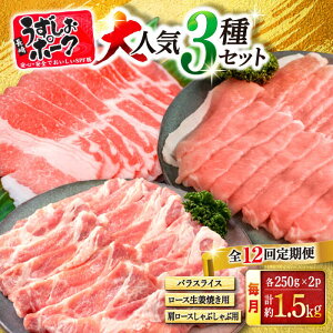 yӂ邳Ɣ[Łzy󂠂zy12ցz肤|[N lC3 Zbg Y X[p[EGXg [CAG221] u^ ؓ ؃o Ԃ 傤Ă  炩 W[V