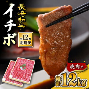 yӂ邳Ɣ[Łzy󂠂zy12ցzy󏭕ʁza C`{ ēp 1000gi500g×2j Ԑg X[p[EGXg [CAG275]