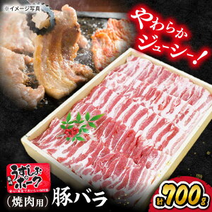 yӂ邳Ɣ[Łzsr[Ly[JÒIt肤|[N o ē p 700g 󂠂 X[p[EGXg [CAG019]  C  u^ ؓ o ֗  炩 W[V[ 