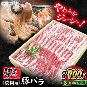 yӂ邳Ɣ[Łzy 󂠂 zy3ցz肤|[N o i ē pj700gX[p[EGXg [CAG020] C  u^ ؓ o ֗  炩 W[V[ i uh