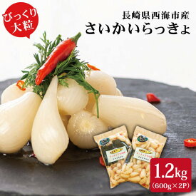 【ふるさと納税】【びっくり大粒】昆布仕込み！さいかい らっきょ 艶づけ（甘酢漬け）1.2kg（600g×2P）＜道の駅さいかい みかんドーム＞ [CAI019] らっきょう ラッキョウ 漬け物 漬物 ご飯 昆布 天然素材 ご飯のお供 おつまみ