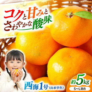 yӂ邳Ɣ[Łzy11{蔭\z݂h[I C1iR{j5kg̉w ݂h[[CAI038]  C ݂  ~J k B݂ ʕ x 