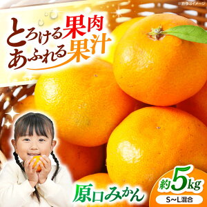 yӂ邳Ɣ[Łzy11{蔭\z݂h[I ݂ 5kg ̉w ݂h[[CAI039]  C ݂  ~J k B݂ ʕ t[c  M