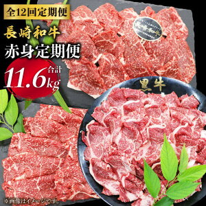 yӂ邳Ɣ[ŁzŷJɁzy12ցza Ԑg×12ցЍ [CBA040]