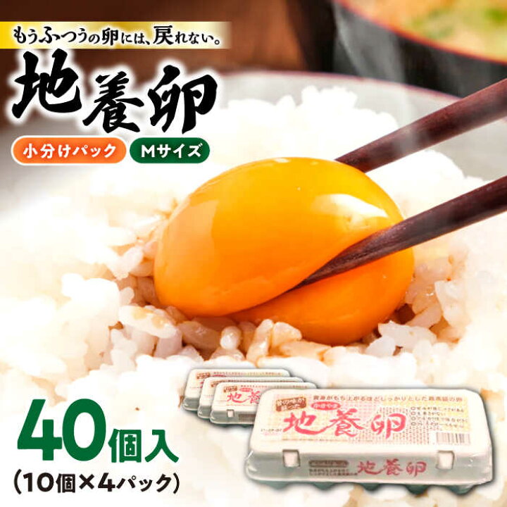 ふるさと納税 卵（鶏、烏骨鶏等） 山形県 庄内町 スズキのたまご　地養卵　MS〜L　50個楽天市場】【ふるさと納税】【☆選べるサイズ☆】かきやまの地養卵 Lサイズ or Mサイズ 40個＜垣山養鶏園＞ [CBB001] 長崎 西海 卵  たまご タマゴ 料理 卵黄 鶏 定期便 Lサイズ 40個 大人気 贈答 ギフト 小分け 赤玉 10000円 1万円 : 長崎県西海市