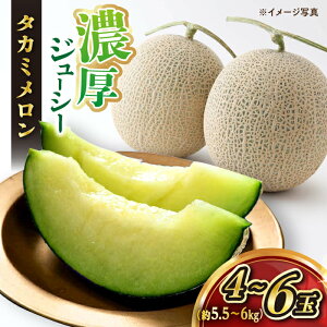 yӂ邳Ɣ[Łzys\zy2026N5{菇z ^J~ 4`6ʁiv5.5kg`6kgjΔ_ [CBI002]  C  ^J~ ʕ t[c  Mtg v[g 