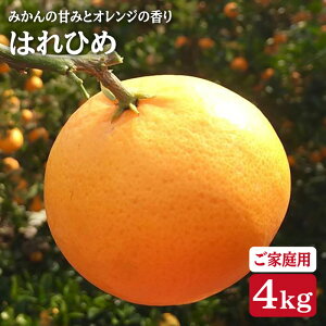 �y�ӂ邳�Ɣ[�Łz�y�����ƒ�p �݂��� ���z �͂�Ђ� ��4kg�i�T�C�Y�����j���L�Ô_���� [CBN003] ���� ���C �݂��� �~�J�� ���� �I�����W ���k �ʕ� �t���[�c �Â� ��