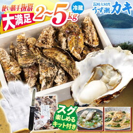 【ふるさと納税】【先行予約】 西海市産 うず潮カキ 2kg 3kg 5kg ＜大村湾漁業協同組合西彼支所＞ [CBZ002] 長崎 西海 かき カキ 牡蠣 牡蠣小屋 BBQ バーベキュー 養殖 大村湾 名産 セット ナイフ付き 5kg 着日指定 日時指定 日付指定 冷蔵