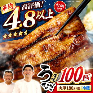 yӂ邳Ɣ[ŁzyI180g×100z`̃^ŎdグYȂ̊ [CCA016]  C Ȃ V EiM ① Y Ȃ  Mtg