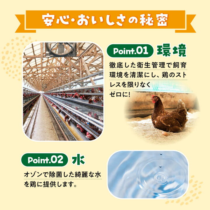 楽天市場 ふるさと納税 40個 家族のために選びたい まつもとたまご 松本養鶏場 Ccd001 長崎県西海市