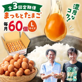 【ふるさと納税】【Lサイズ60個】【選べる回数】まつもと たまご ＜松本養鶏場＞[CCD005] 長崎 西海 卵 生卵 新鮮 卵かけごはん 安全 安心 美味しい こだわり 少数飼い 赤玉 Lサイズ 定期便 玉子 玉子焼き