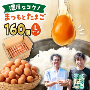 yӂ邳Ɣ[Łzy LTCY 160 zňႢ𐶂݂Ȃu ܂Ƃ܂ v{{{ꁄ[CCD013]  C   VN ͂ S S     M