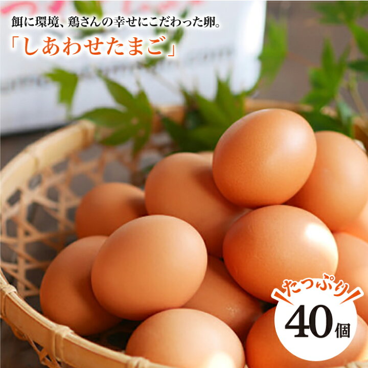 楽天市場 ふるさと納税 ノンストレス卵 平飼い しあわせたまご 40個 松本養鶏場 Ccd021 長崎県西海市