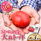 【2025年収穫分先行予約】【糖度8度以上の果実】 大島トマト 約3kg＜大島造船所農産G＞ [CCK005] とまと トマト フルーツトマト 野菜 人気 贈答 ギフト プレゼント