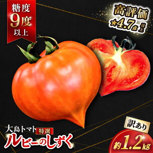 高評価★4.80 まだまだ今シーズンお届け！【 訳あり 】...