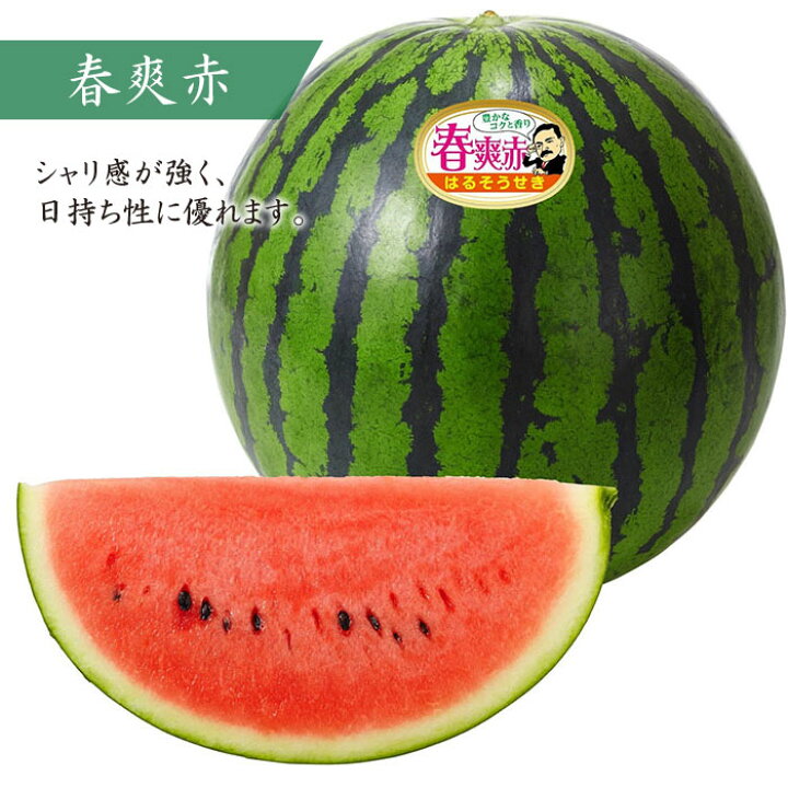 楽天市場 ふるさと納税 びっくり大玉 面高すいか約9kg以上 1玉 九州 長崎県 スイカ 瓜 太田幸男 Ccn004 長崎県西海市